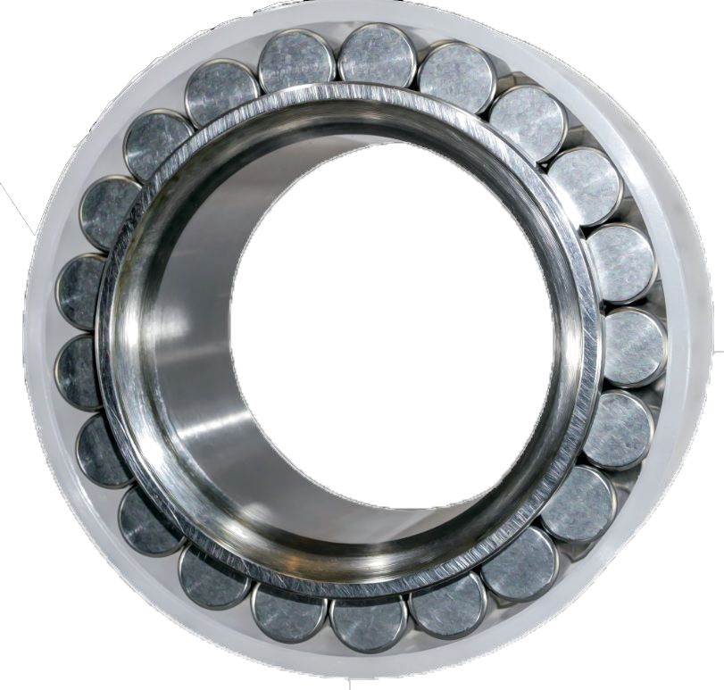 RN Bearing Full Complement Roller Bearing Single Row