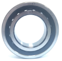 cylindrical roller bearing with seal